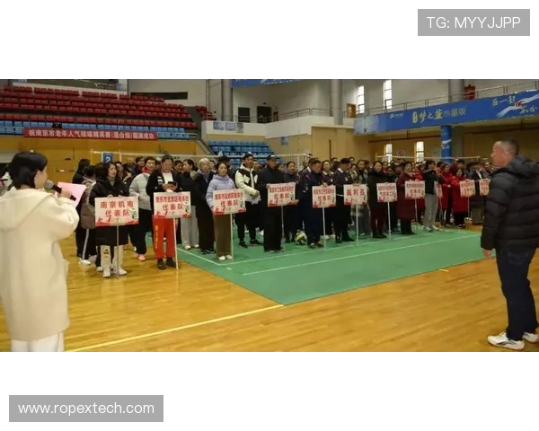 南京排球队以83分领跑精英赛积分榜展现强劲实力和团队合作精神